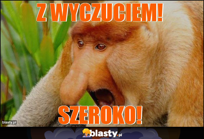 Z wyczuciem!