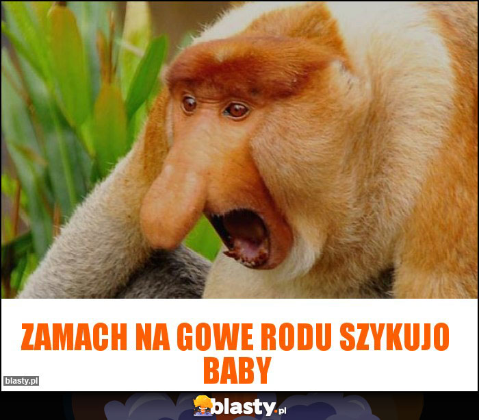 Zamach na gowe rodu Szykujo baby