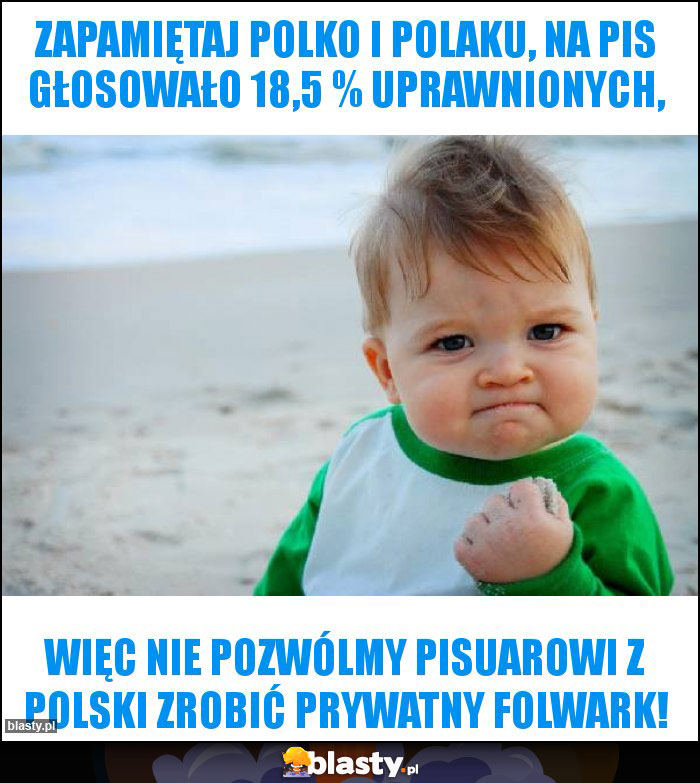 Zapamiętaj polko i polaku, na pis głosowało 18,5 % uprawnionych,