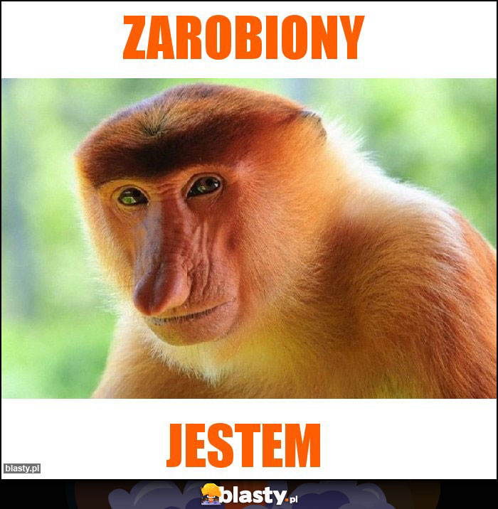 ZAROBIONY