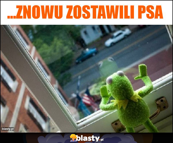 ...znowu zostawili psa