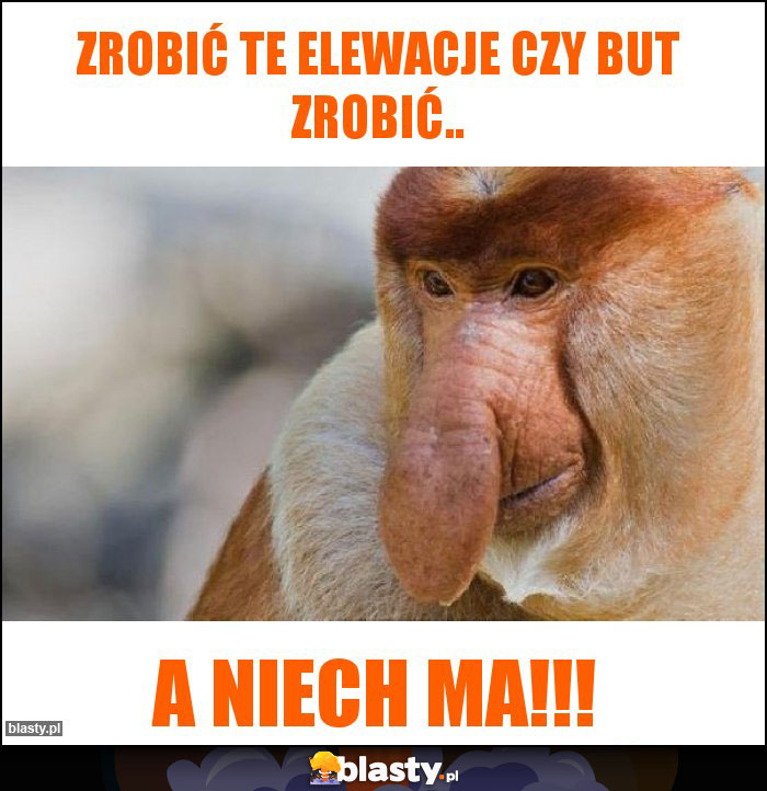 Zrobić te elewacje czy but zrobić..