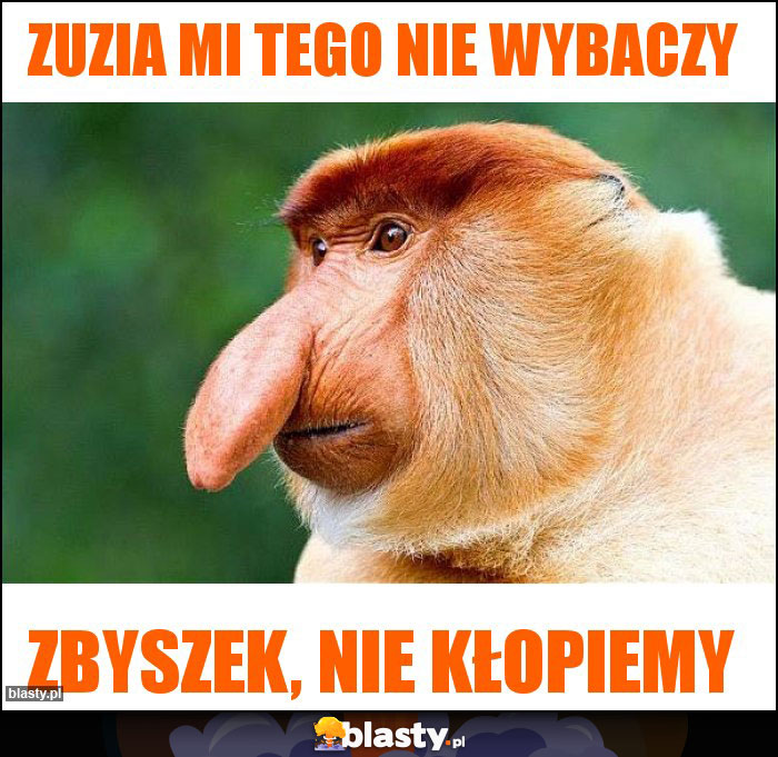 Zuzia mi tego nie wybaczy