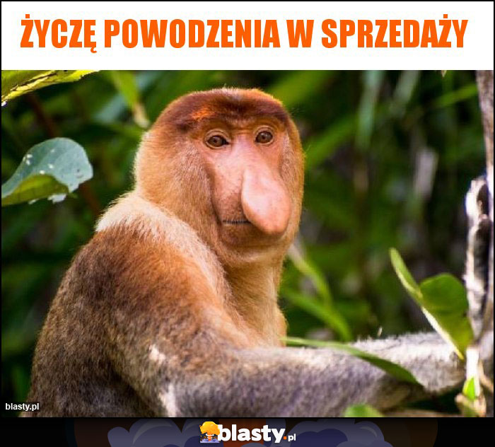 Życzę powodzenia w sprzedaży