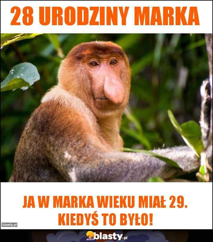 28 urodziny Marka