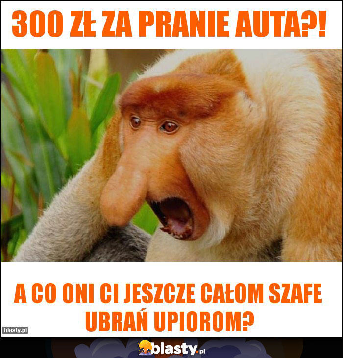 300 zł za pranie auta?!