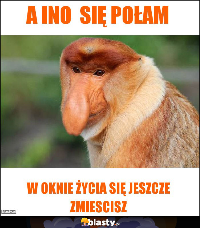 A ino  się połam