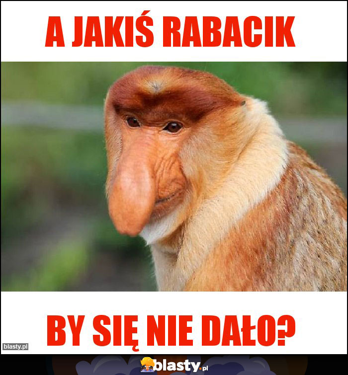 A jakiś rabacik