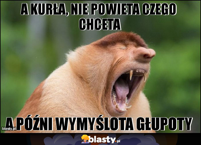 A KURŁA, NIE POWIETA CZEGO CHCETA