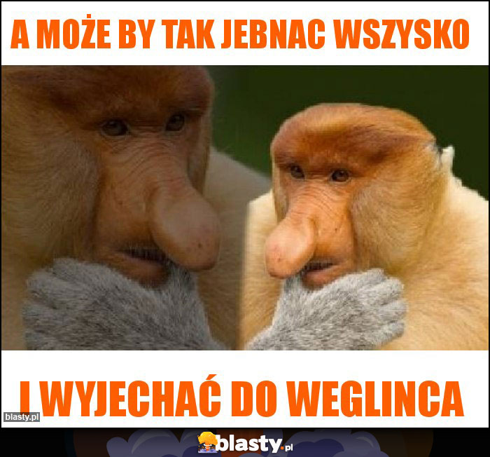 A może by tak jebnac wszysko