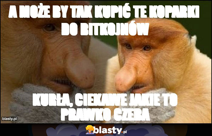 A może by tak kupić te koparki do bitkojnów