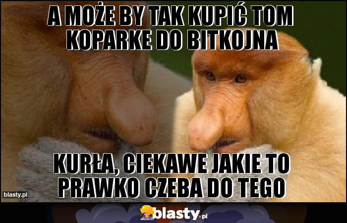 A może by tak kupić tom koparke do bitkojna