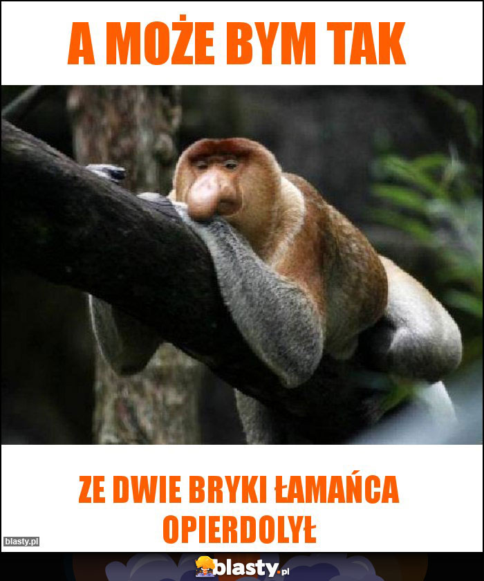 A może bym tak