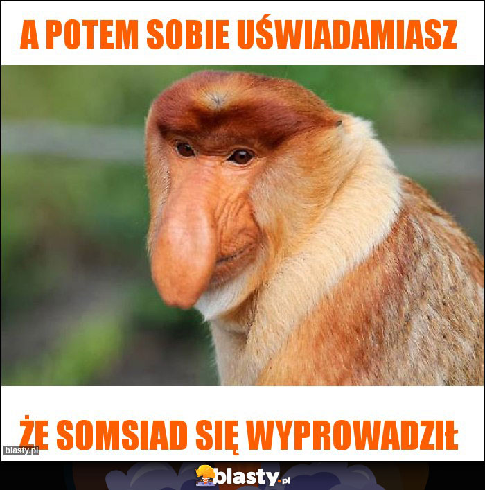 a potem sobie uświadamiasz