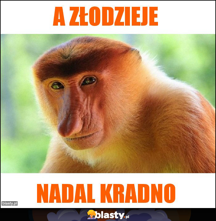 A złodzieje