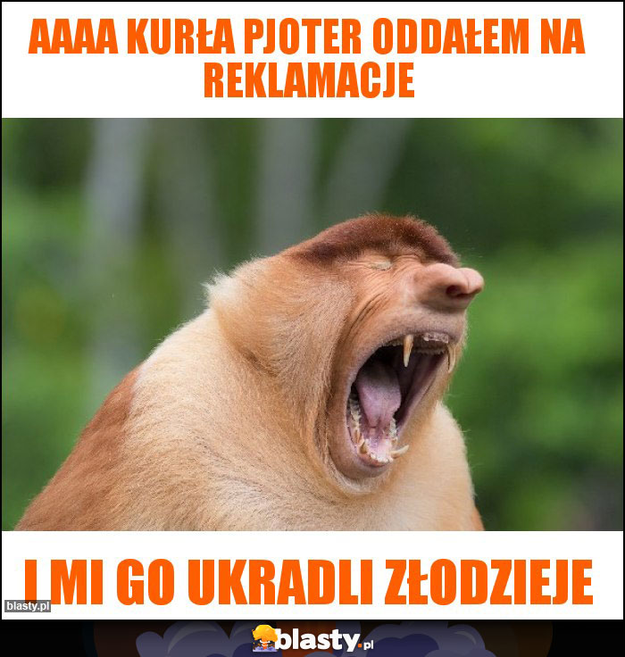 AAAA kurła pjoter oddałem na reklamacje