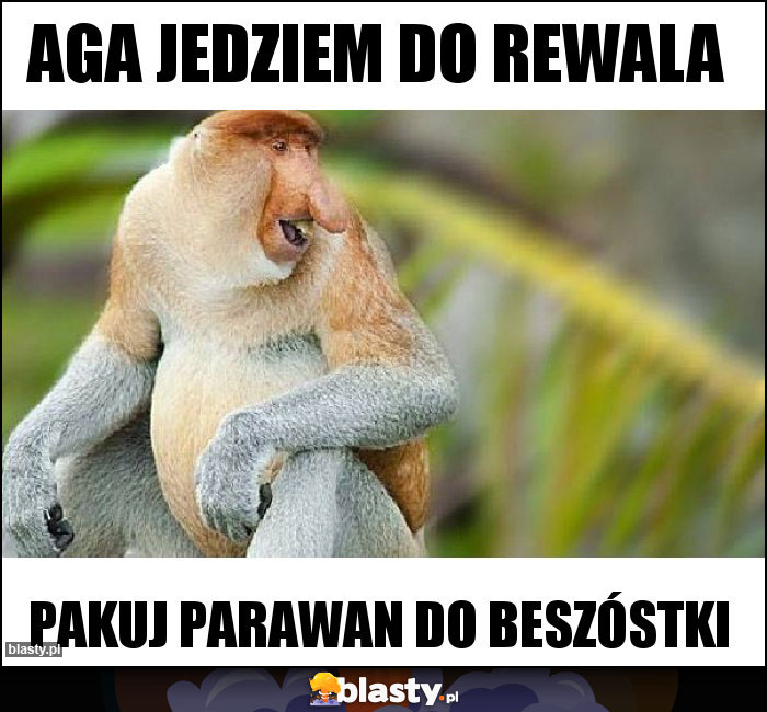 Aga jedziem do Rewala