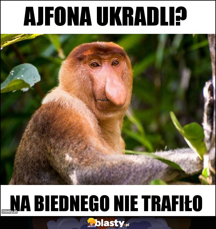 Ajfona ukradli?