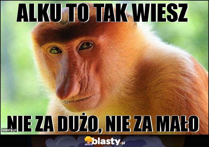 alku to tak wiesz