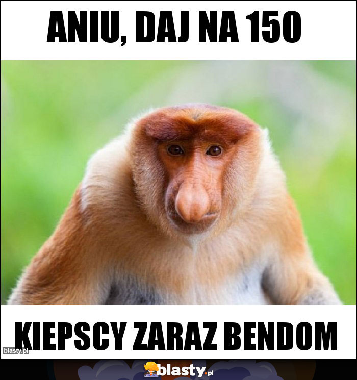 Aniu, daj na 150