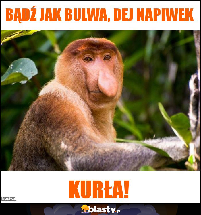 Bądź jak bulwa, dej napiwek