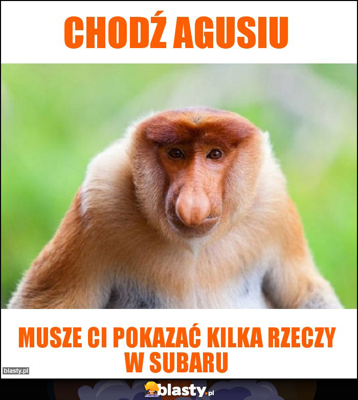 Chodź Agusiu