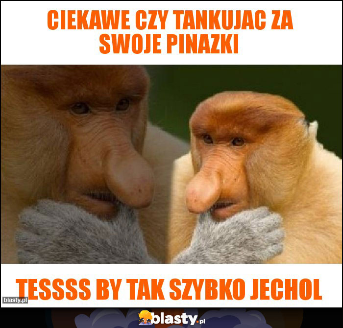 Ciekawe czy tankujac za swoje pinazki