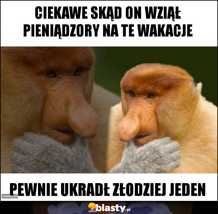 Ciekawe skąd on wziął pieniądzory na te wakacje