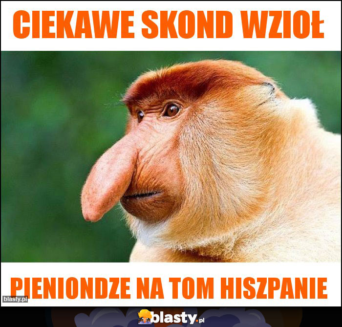 Ciekawe skond wzioł