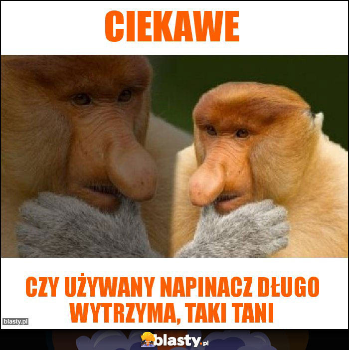 Ciekawe