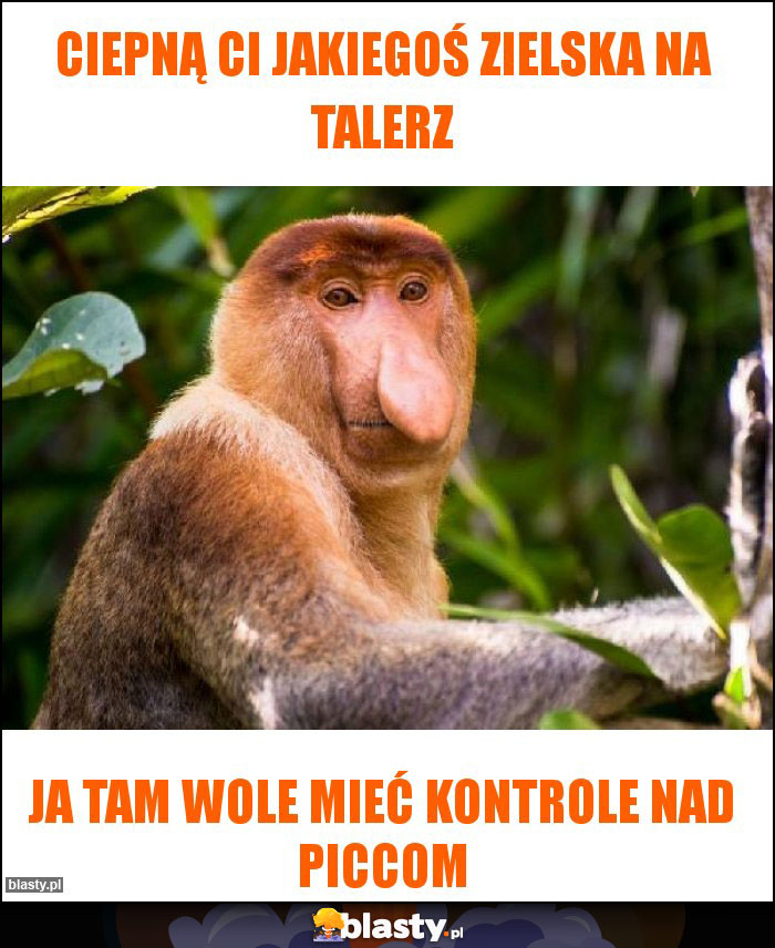 Ciepną ci jakiegoś zielska na talerz