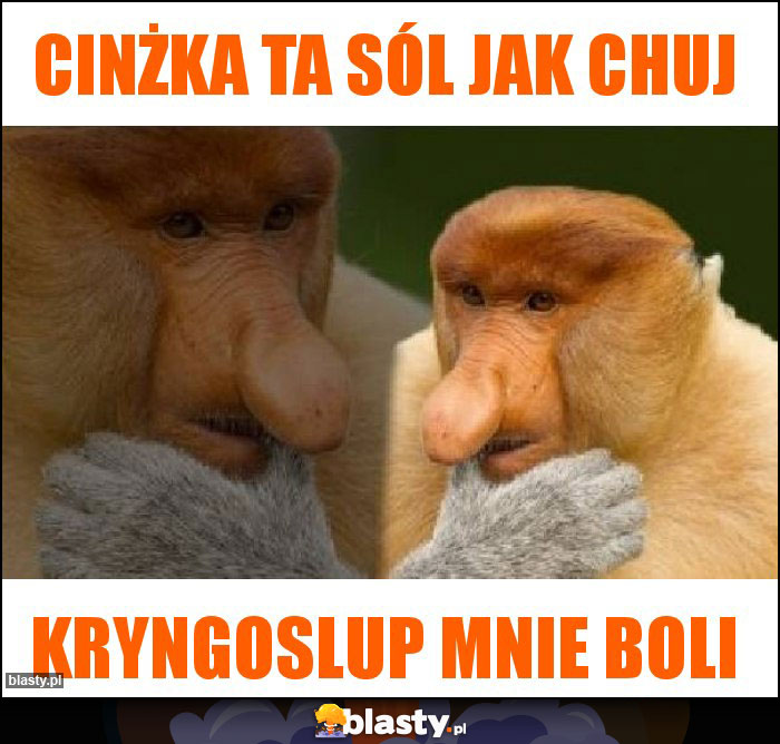 Cinżka ta sól jak chuj