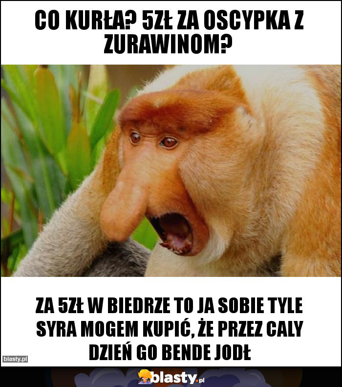 Co kurła? 5zł za oscypka z zurawinom?