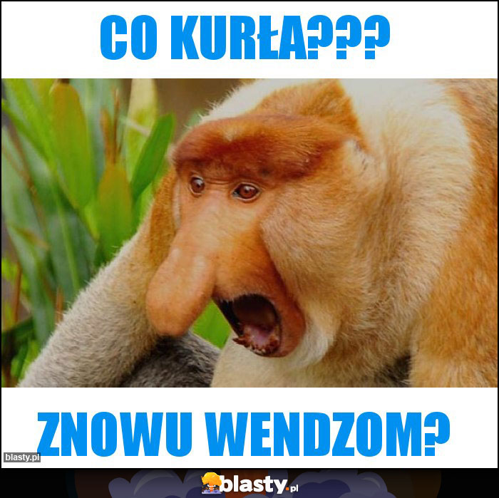 Co kurła???