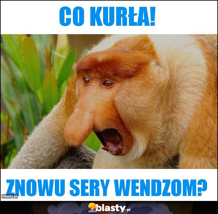 Co kurła!