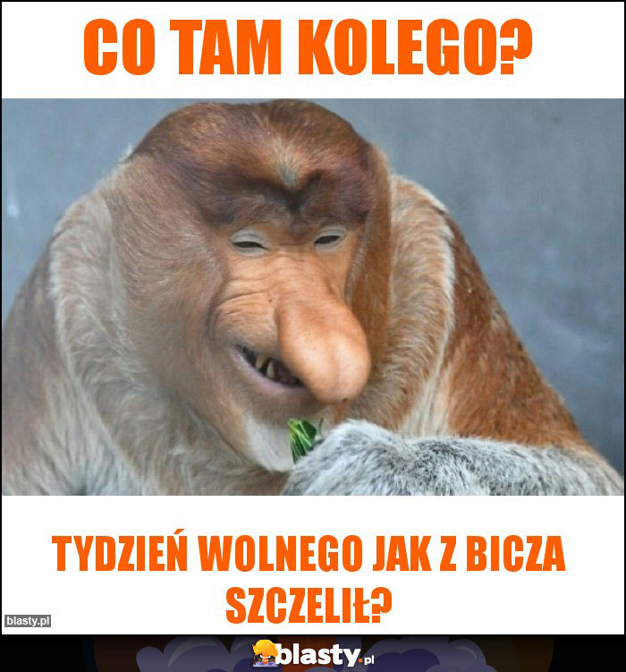 Co tam kolego?