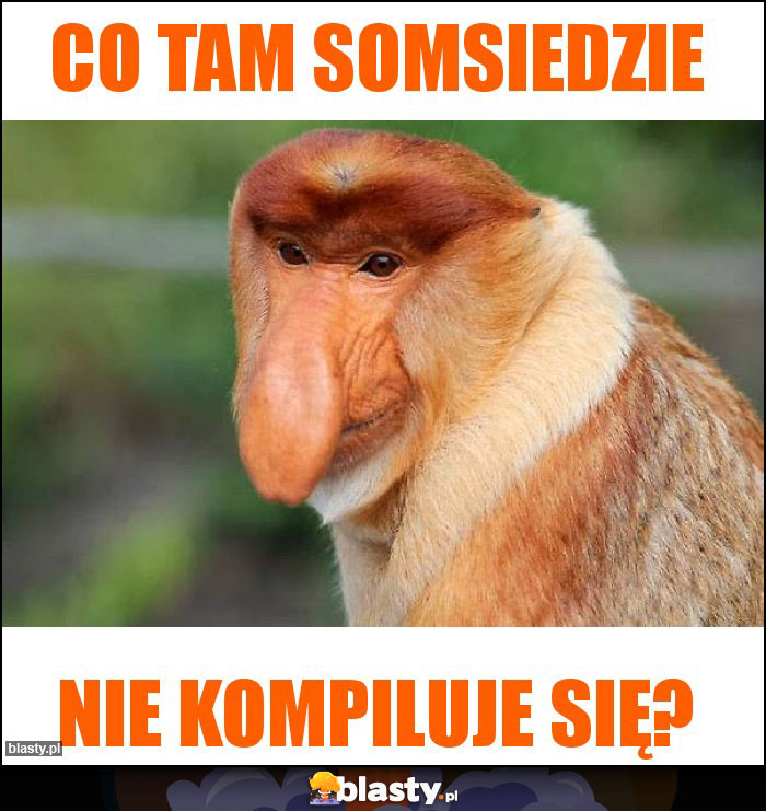 Co tam somsiedzie