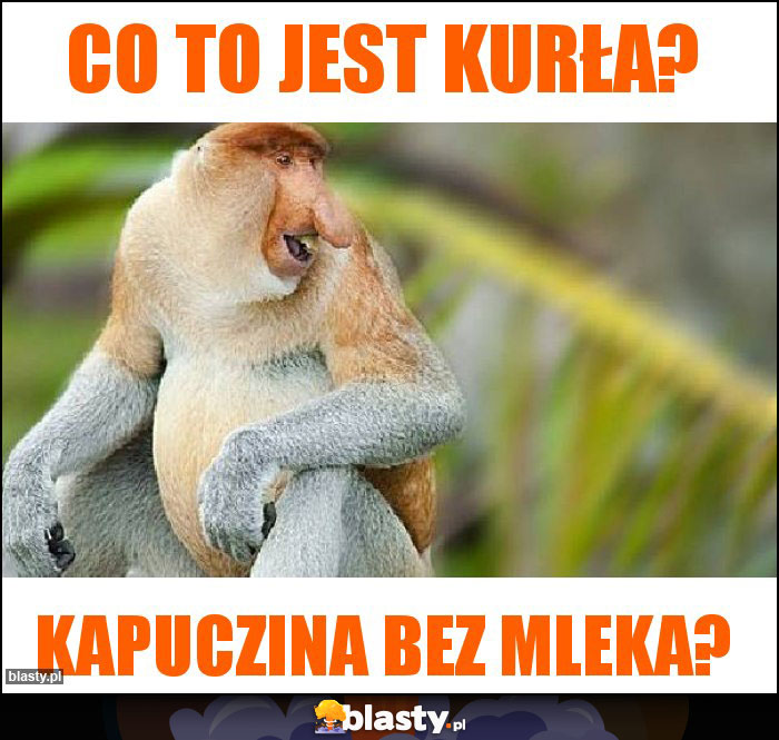 Co to jest kurła?