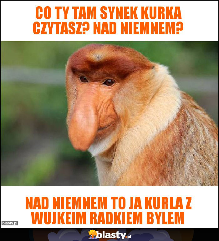 Co ty tam synek kurka czytasz? Nad Niemnem?