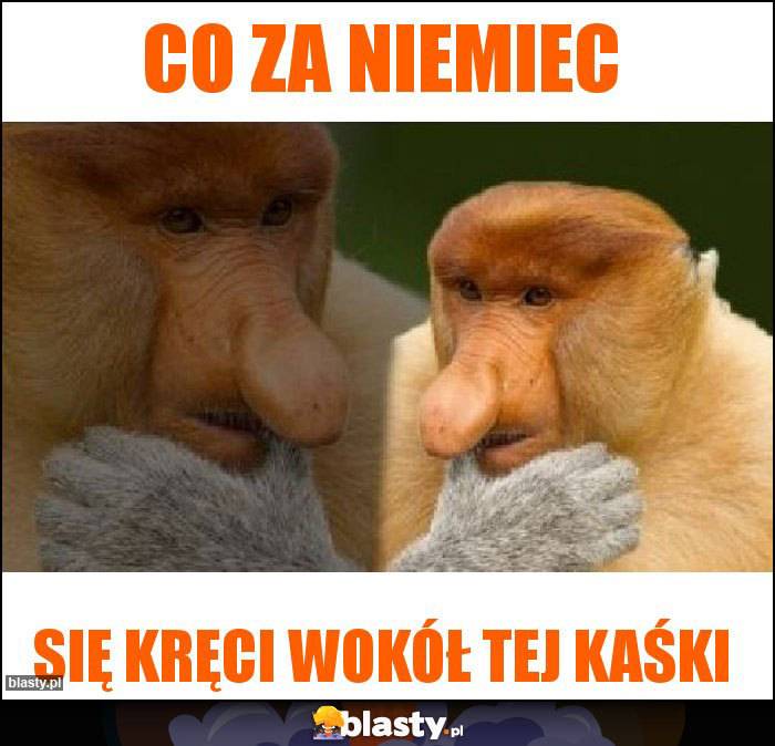 Co za Niemiec