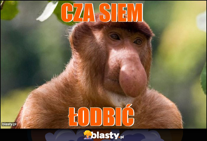 CZA SIEM