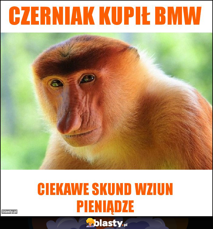 Czerniak kupił bmw