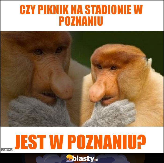 czy piknik na stadionie w poznaniu