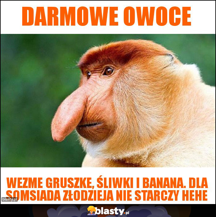 Darmowe Owoce