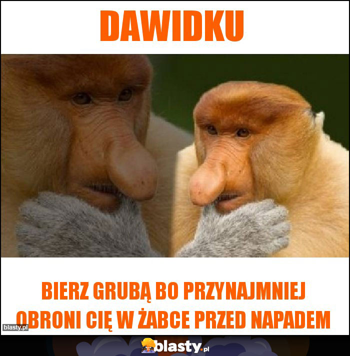 Dawidku