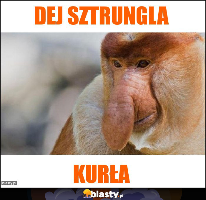 Dej sztrungla