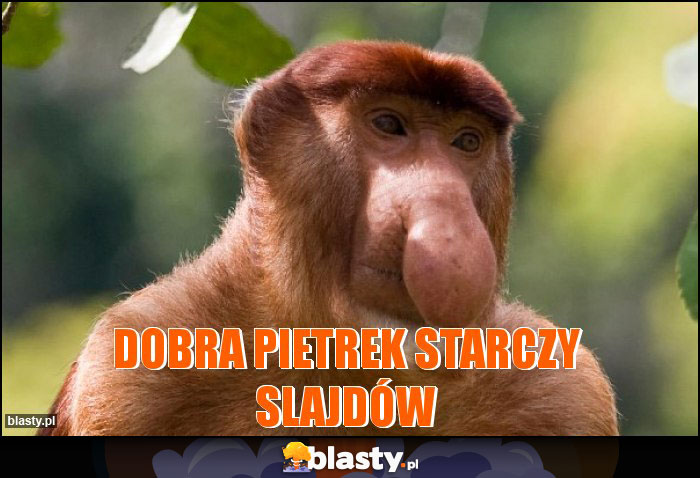 Dobra Pietrek starczy slajdów