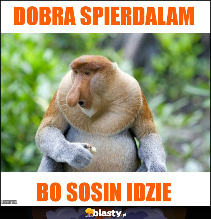 Dobra spierdalam