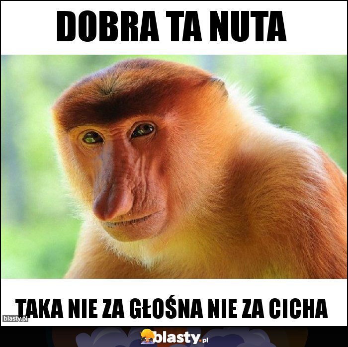 Dobra ta nuta