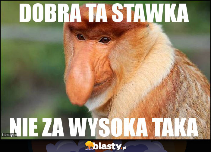 Dobra ta stawka